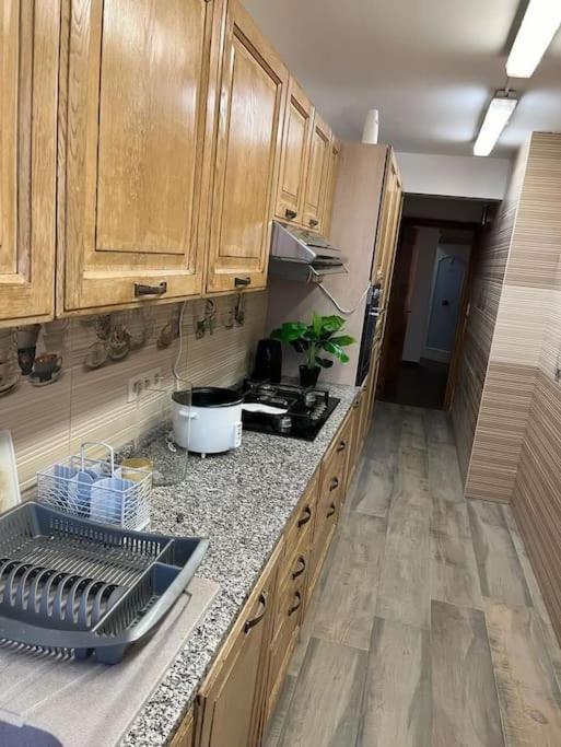 Appart Meuble 92M2 + 2 Terrasses ブリュッセル エクステリア 写真